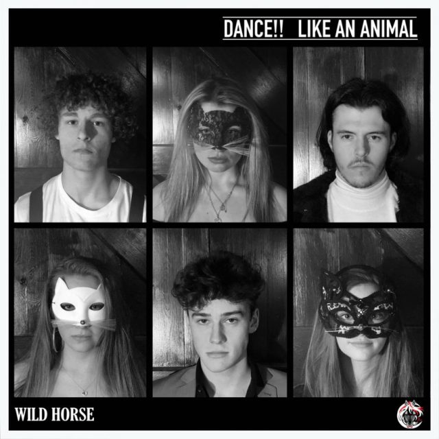 Wild Horse album art