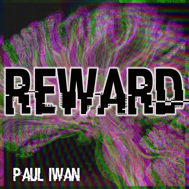 Paul Iwan Reward